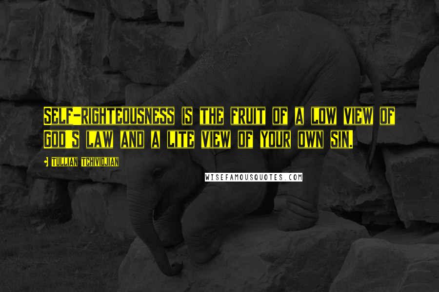 Tullian Tchividjian Quotes: Self-righteousness is the fruit of a low view of God's law and a lite view of your own sin.