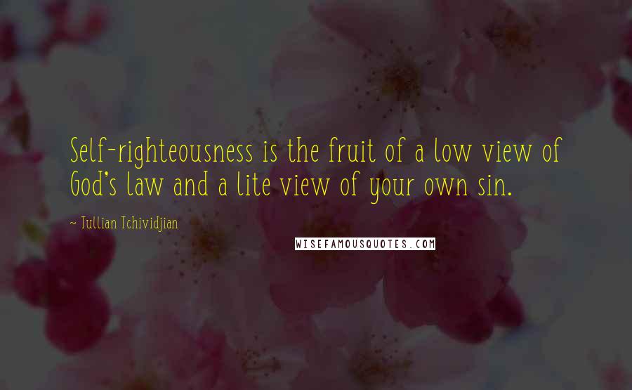 Tullian Tchividjian Quotes: Self-righteousness is the fruit of a low view of God's law and a lite view of your own sin.