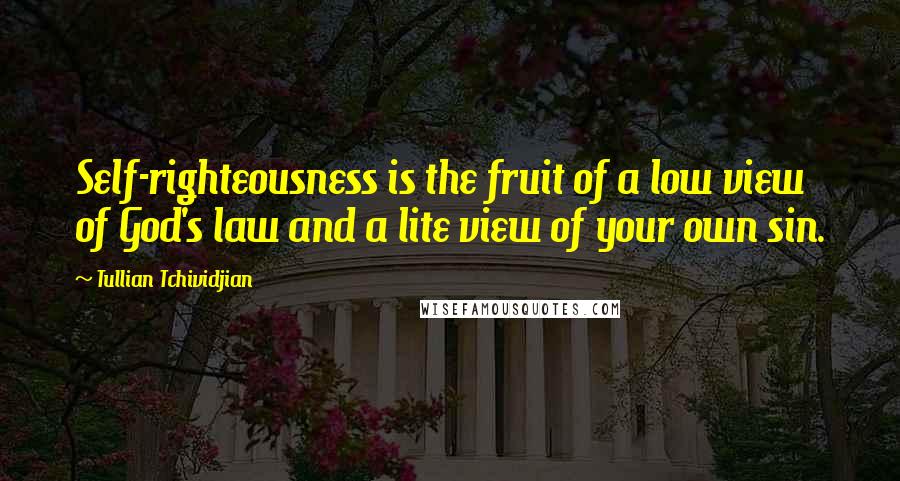 Tullian Tchividjian Quotes: Self-righteousness is the fruit of a low view of God's law and a lite view of your own sin.