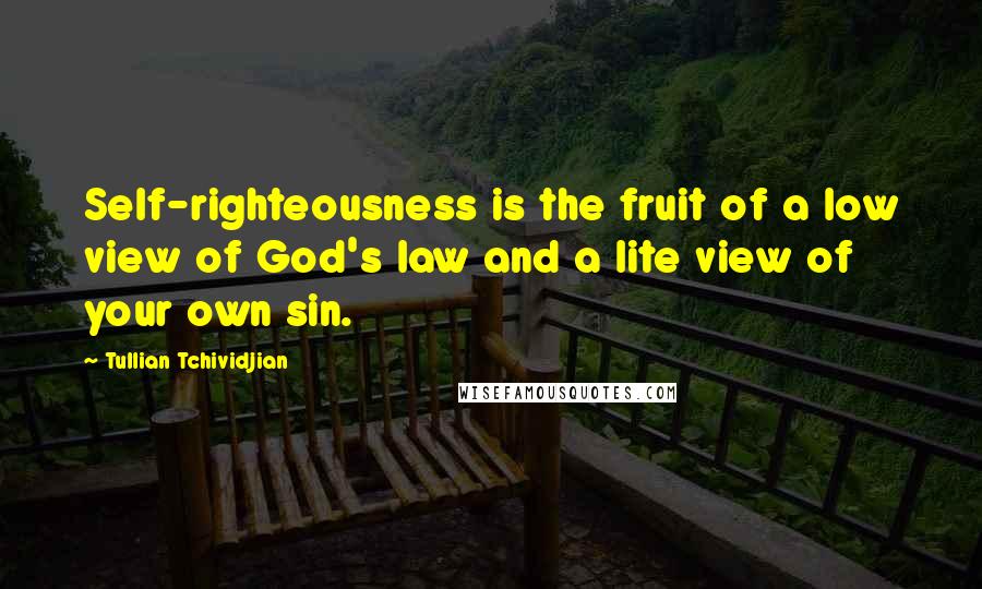Tullian Tchividjian Quotes: Self-righteousness is the fruit of a low view of God's law and a lite view of your own sin.