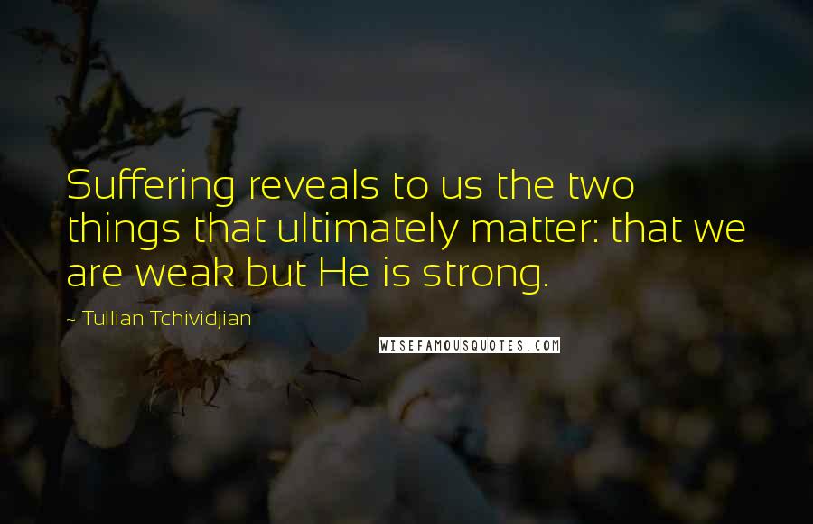 Tullian Tchividjian Quotes: Suffering reveals to us the two things that ultimately matter: that we are weak but He is strong.