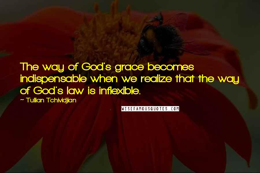 Tullian Tchividjian Quotes: The way of God's grace becomes indispensable when we realize that the way of God's law is inflexible.