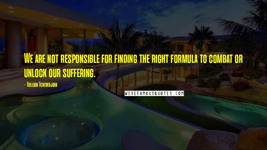 Tullian Tchividjian Quotes: We are not responsible for finding the right formula to combat or unlock our suffering.