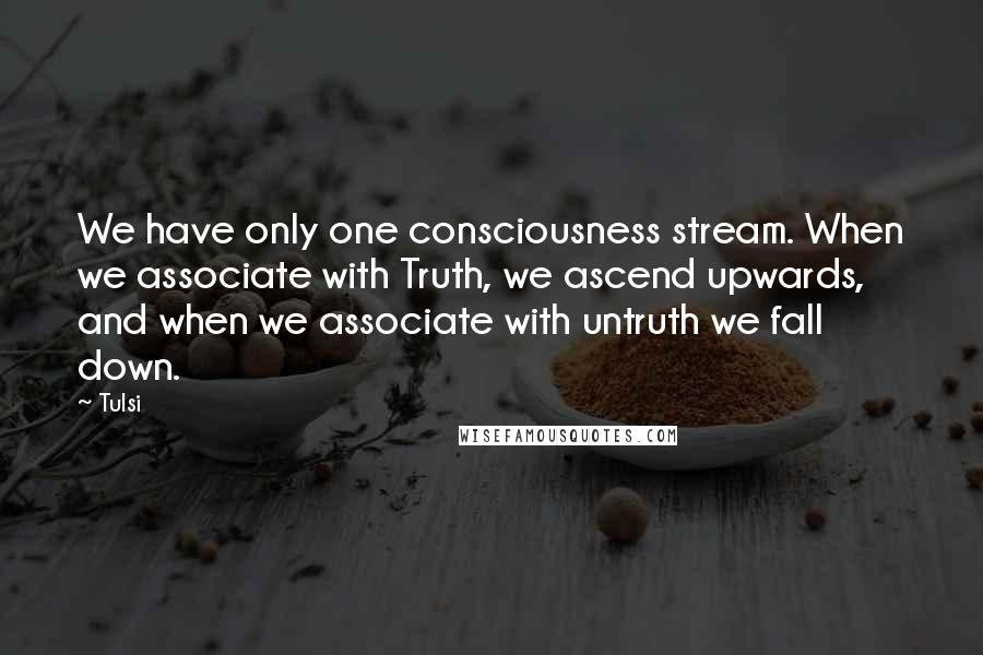 Tulsi Quotes: We have only one consciousness stream. When we associate with Truth, we ascend upwards, and when we associate with untruth we fall down.