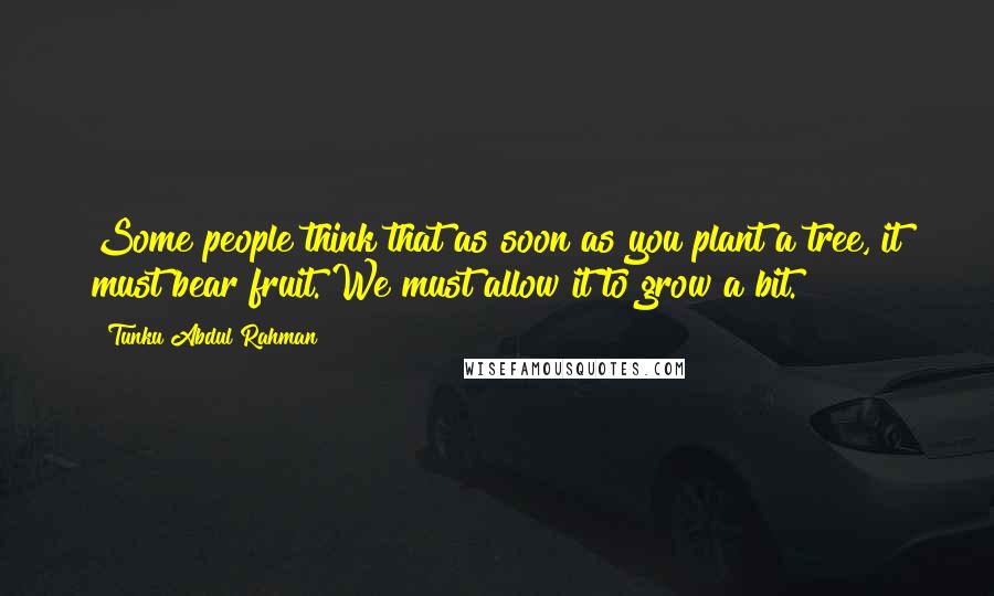 Tunku Abdul Rahman Quotes: Some people think that as soon as you plant a tree, it must bear fruit. We must allow it to grow a bit.