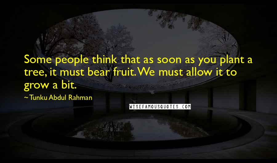 Tunku Abdul Rahman Quotes: Some people think that as soon as you plant a tree, it must bear fruit. We must allow it to grow a bit.