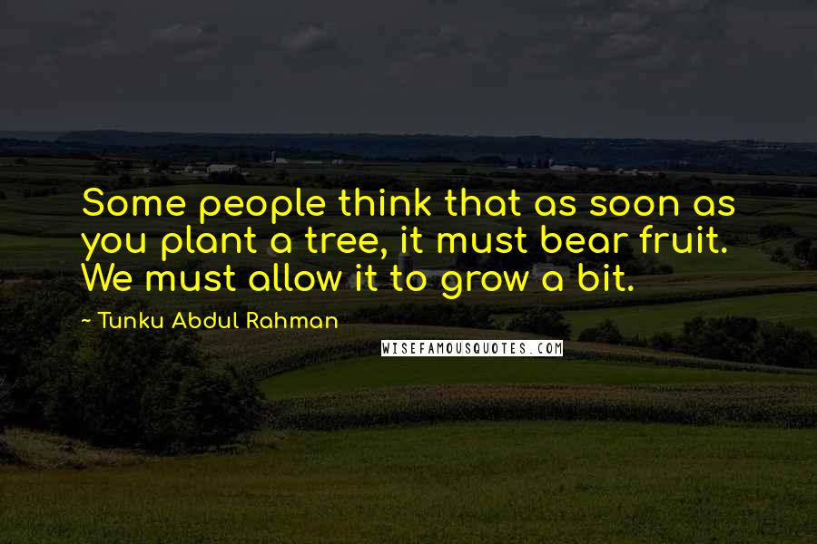 Tunku Abdul Rahman Quotes: Some people think that as soon as you plant a tree, it must bear fruit. We must allow it to grow a bit.