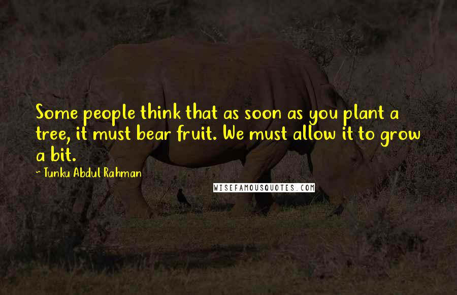 Tunku Abdul Rahman Quotes: Some people think that as soon as you plant a tree, it must bear fruit. We must allow it to grow a bit.