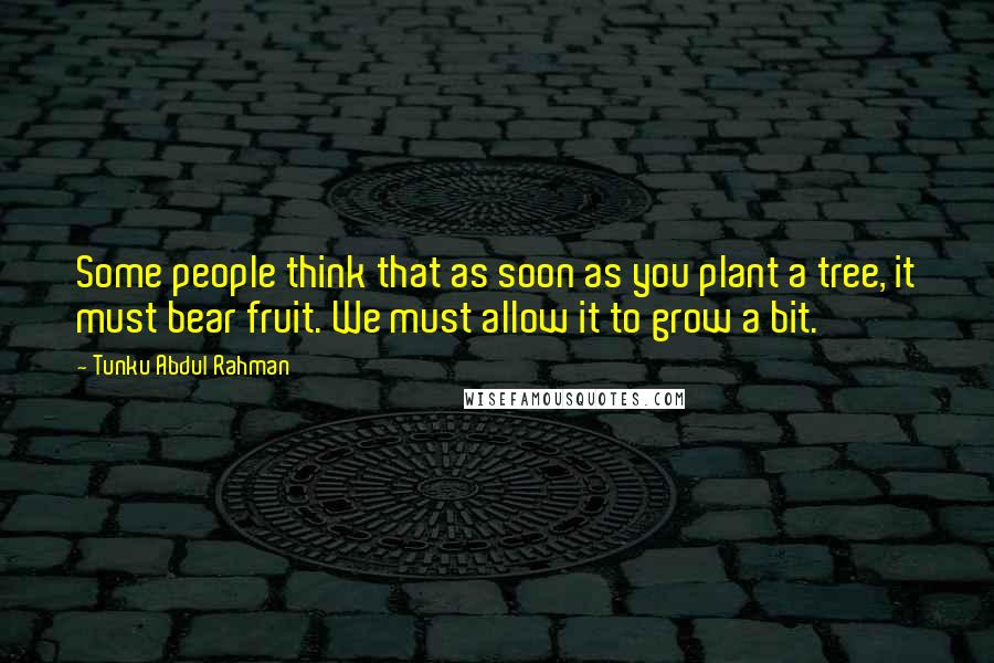 Tunku Abdul Rahman Quotes: Some people think that as soon as you plant a tree, it must bear fruit. We must allow it to grow a bit.