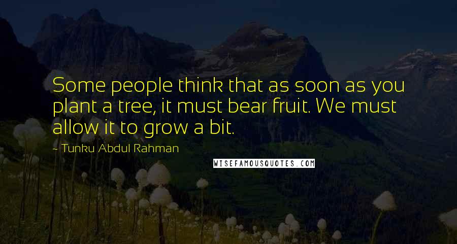 Tunku Abdul Rahman Quotes: Some people think that as soon as you plant a tree, it must bear fruit. We must allow it to grow a bit.