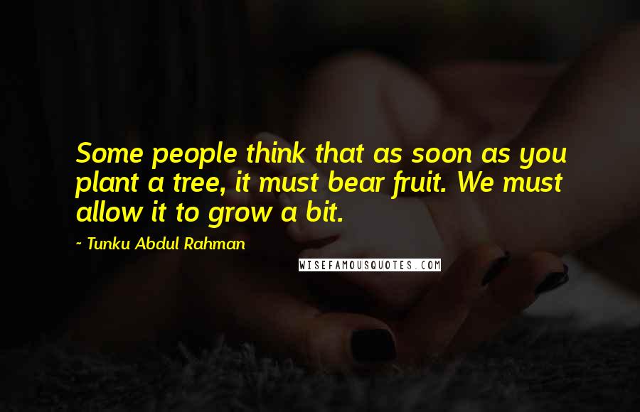 Tunku Abdul Rahman Quotes: Some people think that as soon as you plant a tree, it must bear fruit. We must allow it to grow a bit.
