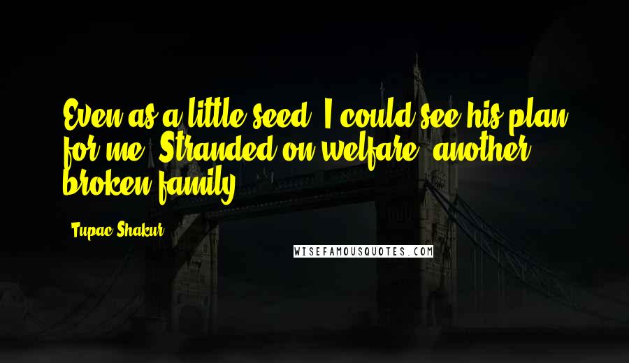 Tupac Shakur Quotes: Even as a little seed, I could see his plan for me. Stranded on welfare, another broken family.