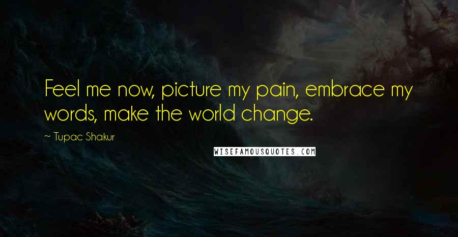 Tupac Shakur Quotes: Feel me now, picture my pain, embrace my words, make the world change.