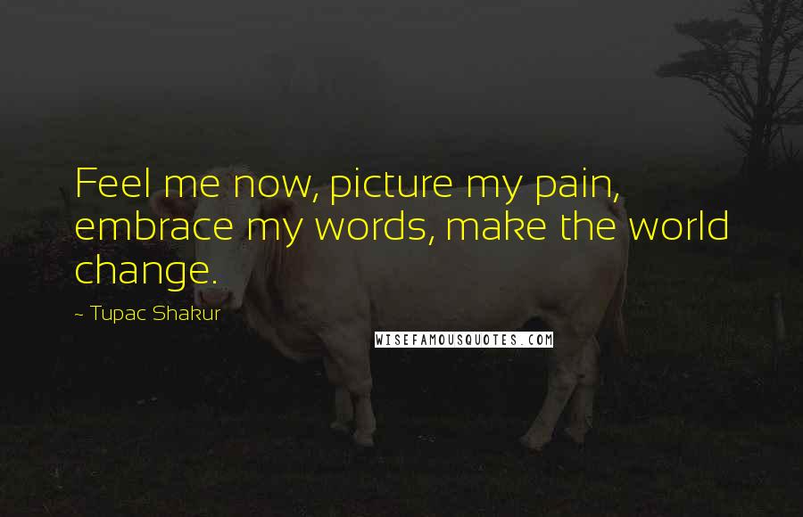 Tupac Shakur Quotes: Feel me now, picture my pain, embrace my words, make the world change.