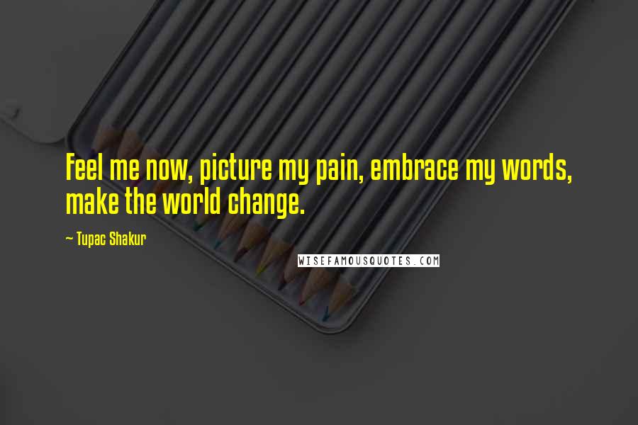 Tupac Shakur Quotes: Feel me now, picture my pain, embrace my words, make the world change.