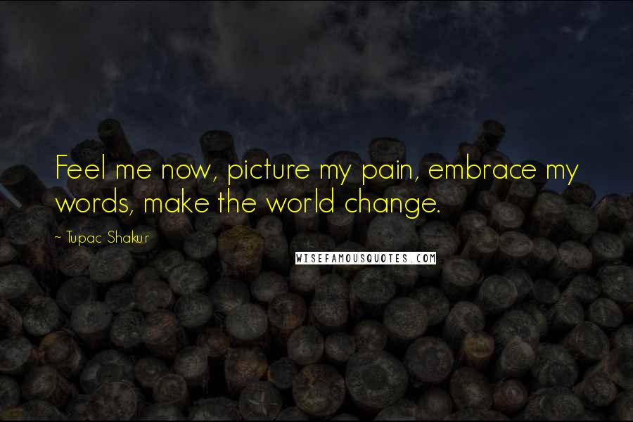 Tupac Shakur Quotes: Feel me now, picture my pain, embrace my words, make the world change.