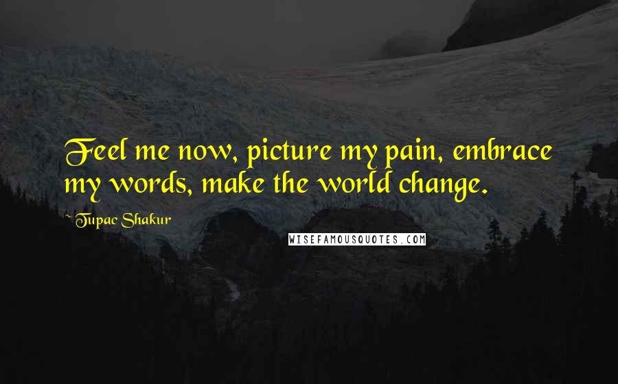 Tupac Shakur Quotes: Feel me now, picture my pain, embrace my words, make the world change.