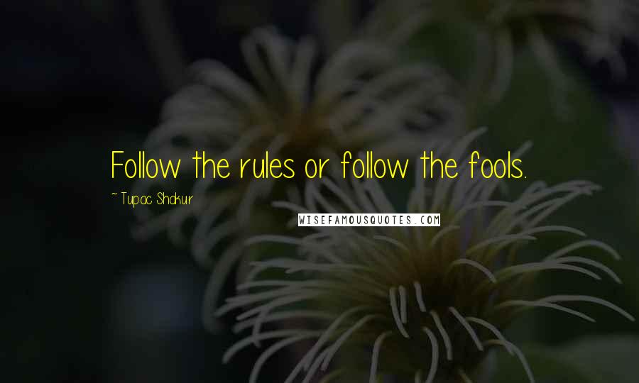 Tupac Shakur Quotes: Follow the rules or follow the fools.