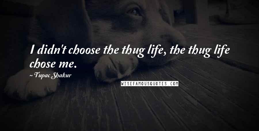 Tupac Shakur Quotes: I didn't choose the thug life, the thug life chose me.