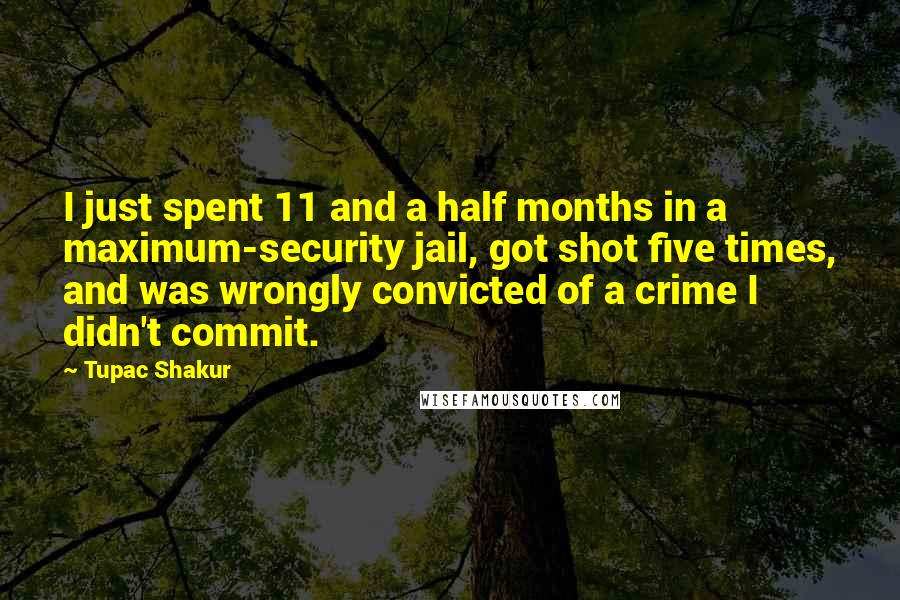Tupac Shakur Quotes: I just spent 11 and a half months in a maximum-security jail, got shot five times, and was wrongly convicted of a crime I didn't commit.