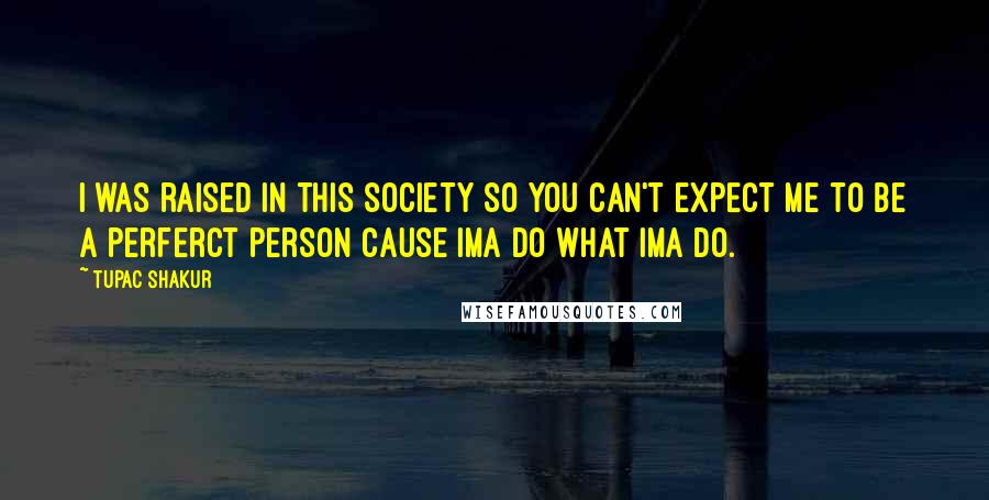 Tupac Shakur Quotes: I was raised in this society so you can't expect me to be a perferct person cause Ima do what Ima do.