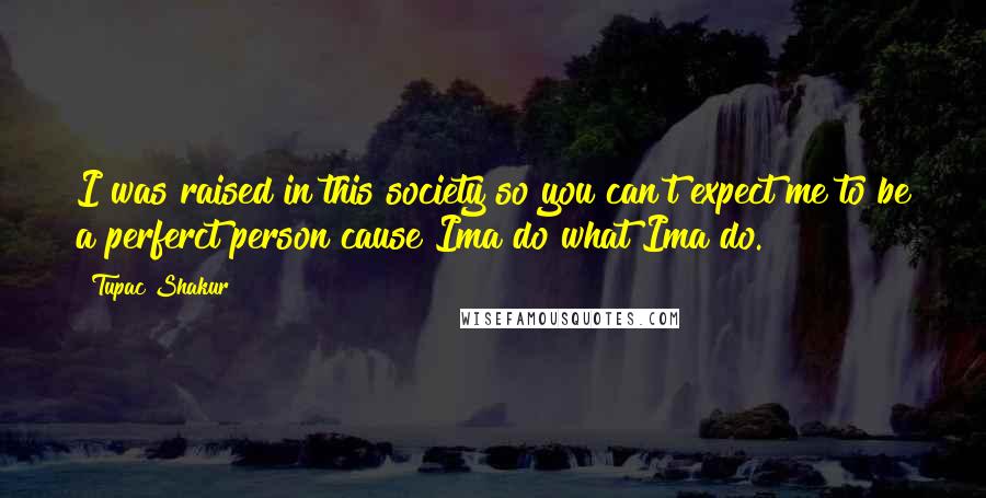 Tupac Shakur Quotes: I was raised in this society so you can't expect me to be a perferct person cause Ima do what Ima do.