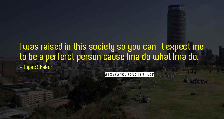 Tupac Shakur Quotes: I was raised in this society so you can't expect me to be a perferct person cause Ima do what Ima do.