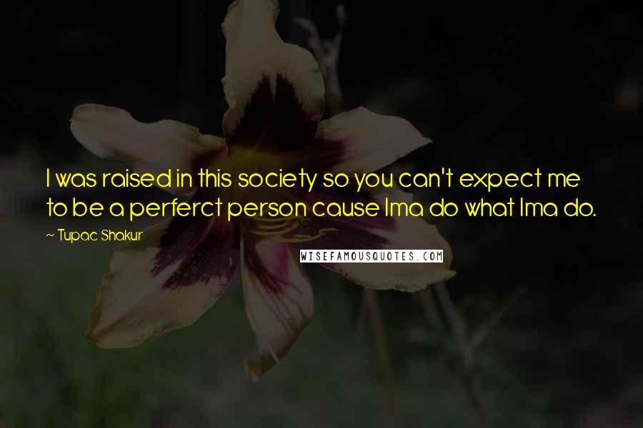 Tupac Shakur Quotes: I was raised in this society so you can't expect me to be a perferct person cause Ima do what Ima do.