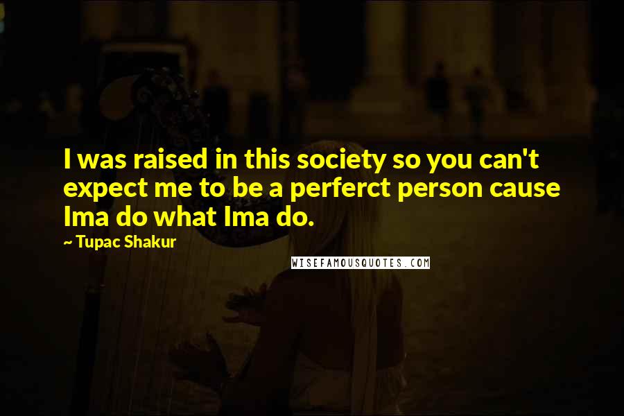 Tupac Shakur Quotes: I was raised in this society so you can't expect me to be a perferct person cause Ima do what Ima do.