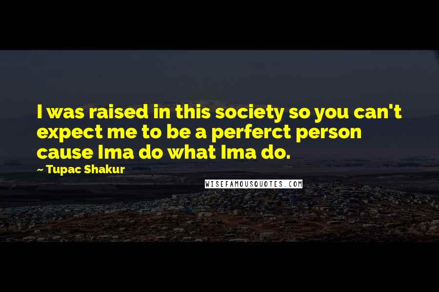 Tupac Shakur Quotes: I was raised in this society so you can't expect me to be a perferct person cause Ima do what Ima do.