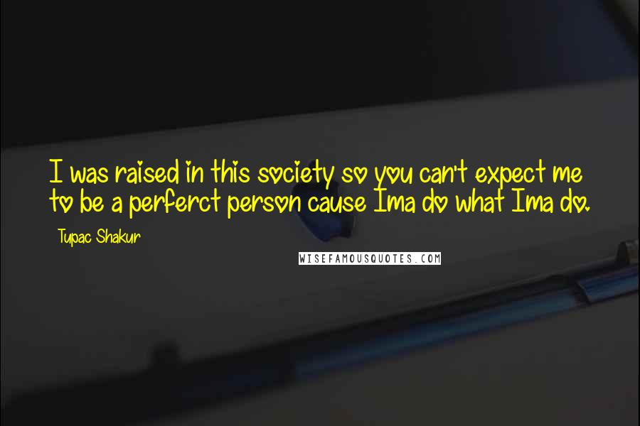 Tupac Shakur Quotes: I was raised in this society so you can't expect me to be a perferct person cause Ima do what Ima do.