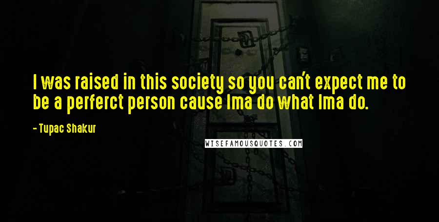 Tupac Shakur Quotes: I was raised in this society so you can't expect me to be a perferct person cause Ima do what Ima do.