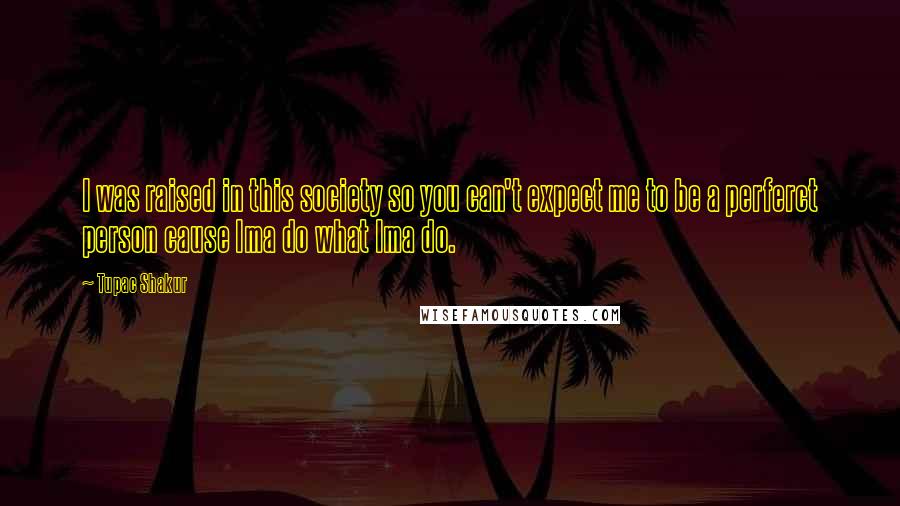 Tupac Shakur Quotes: I was raised in this society so you can't expect me to be a perferct person cause Ima do what Ima do.