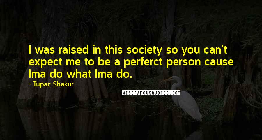 Tupac Shakur Quotes: I was raised in this society so you can't expect me to be a perferct person cause Ima do what Ima do.