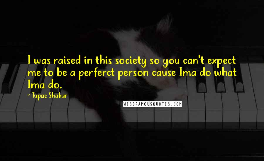 Tupac Shakur Quotes: I was raised in this society so you can't expect me to be a perferct person cause Ima do what Ima do.