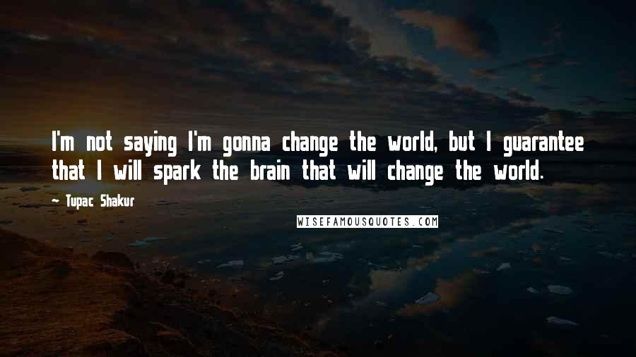 Tupac Shakur Quotes: I'm not saying I'm gonna change the world, but I guarantee that I will spark the brain that will change the world.