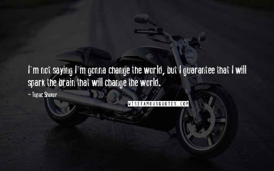 Tupac Shakur Quotes: I'm not saying I'm gonna change the world, but I guarantee that I will spark the brain that will change the world.