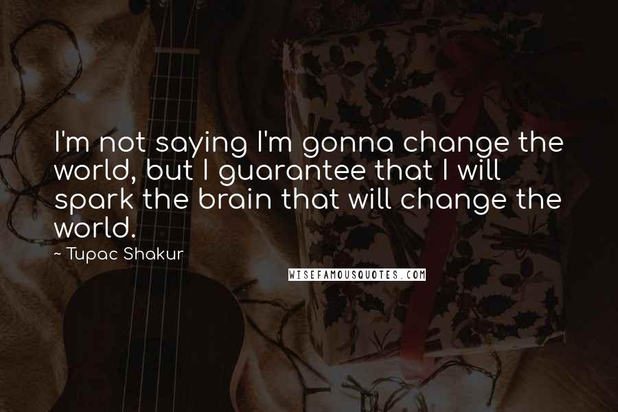 Tupac Shakur Quotes: I'm not saying I'm gonna change the world, but I guarantee that I will spark the brain that will change the world.