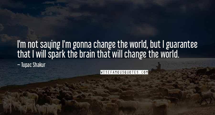 Tupac Shakur Quotes: I'm not saying I'm gonna change the world, but I guarantee that I will spark the brain that will change the world.