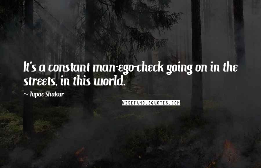 Tupac Shakur Quotes: It's a constant man-ego-check going on in the streets, in this world.