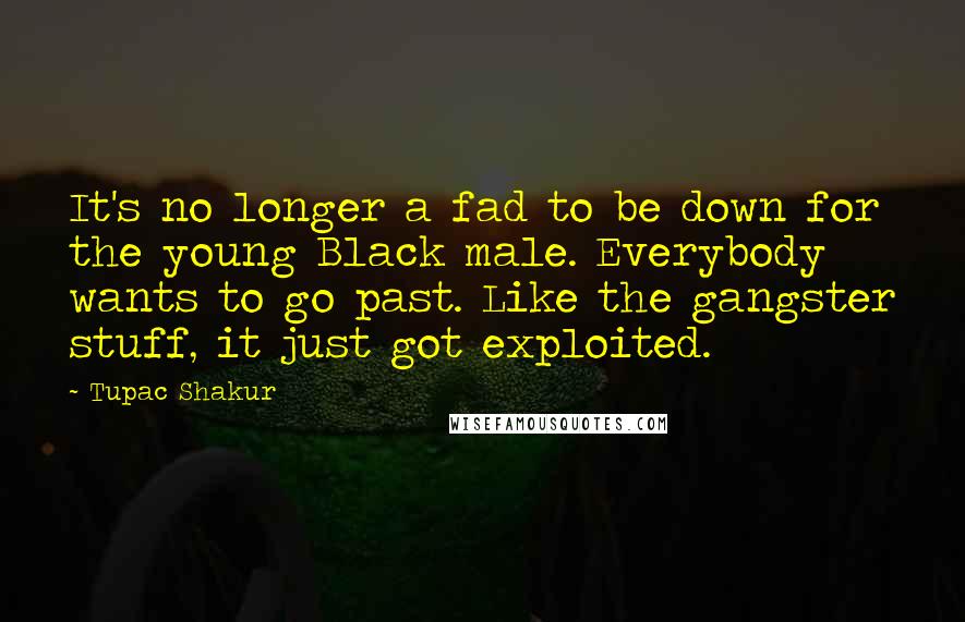 Tupac Shakur Quotes: It's no longer a fad to be down for the young Black male. Everybody wants to go past. Like the gangster stuff, it just got exploited.