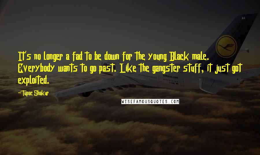 Tupac Shakur Quotes: It's no longer a fad to be down for the young Black male. Everybody wants to go past. Like the gangster stuff, it just got exploited.