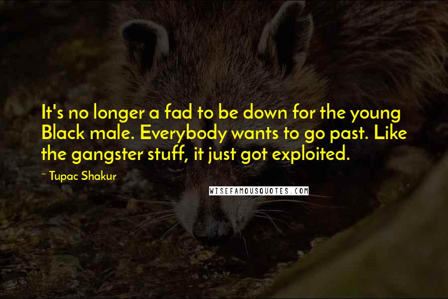 Tupac Shakur Quotes: It's no longer a fad to be down for the young Black male. Everybody wants to go past. Like the gangster stuff, it just got exploited.