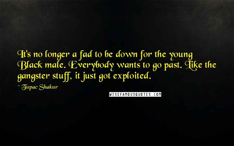 Tupac Shakur Quotes: It's no longer a fad to be down for the young Black male. Everybody wants to go past. Like the gangster stuff, it just got exploited.