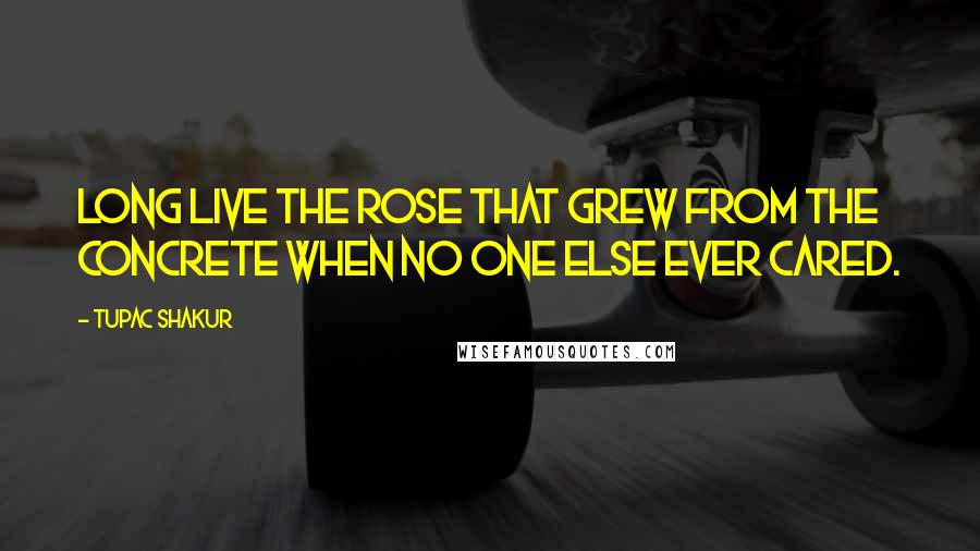 Tupac Shakur Quotes: Long live the rose that grew from the concrete when no one else ever cared.