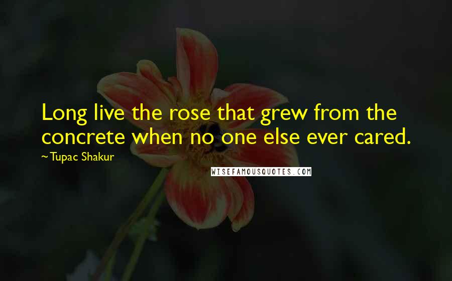 Tupac Shakur Quotes: Long live the rose that grew from the concrete when no one else ever cared.