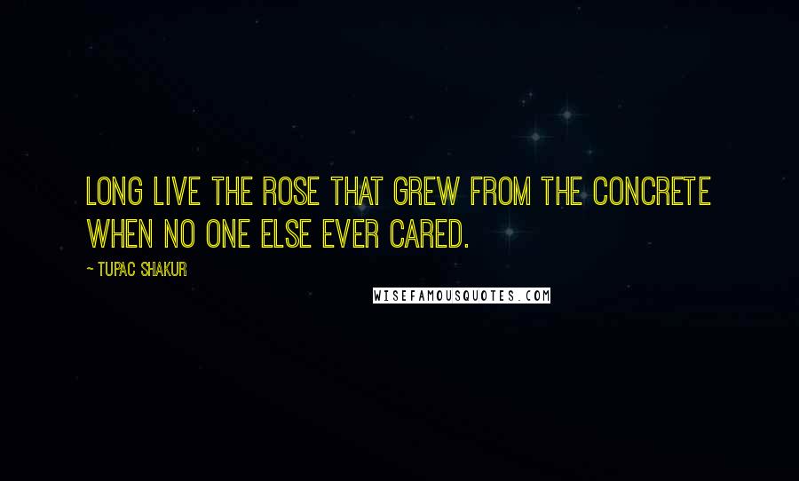 Tupac Shakur Quotes: Long live the rose that grew from the concrete when no one else ever cared.