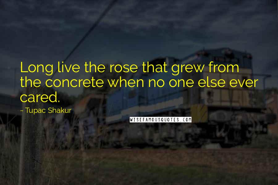 Tupac Shakur Quotes: Long live the rose that grew from the concrete when no one else ever cared.