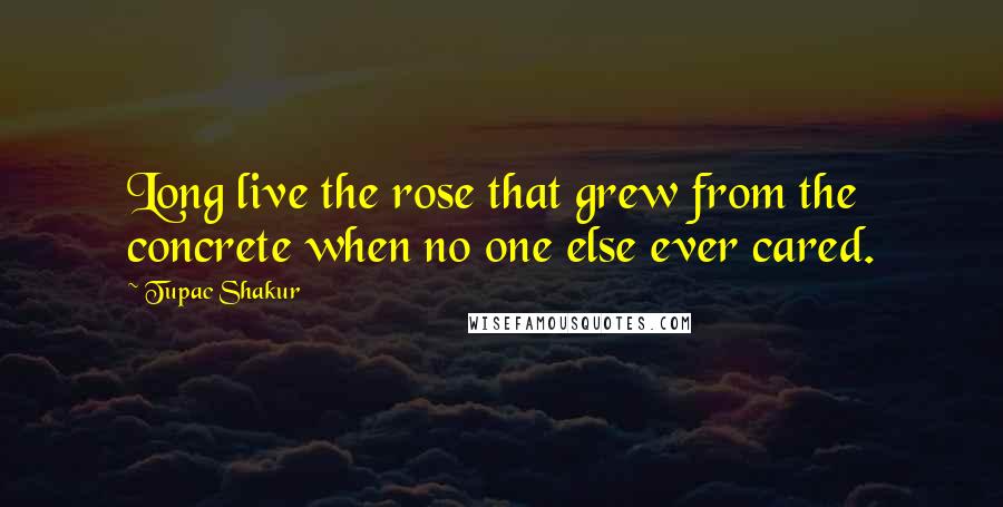 Tupac Shakur Quotes: Long live the rose that grew from the concrete when no one else ever cared.