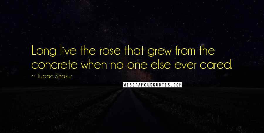 Tupac Shakur Quotes: Long live the rose that grew from the concrete when no one else ever cared.